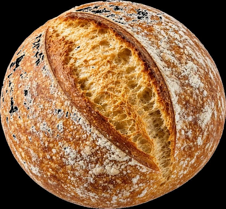 Country sourdough boule